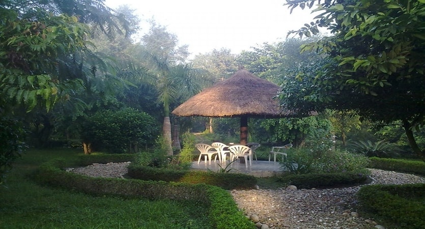 nepal wild life resort