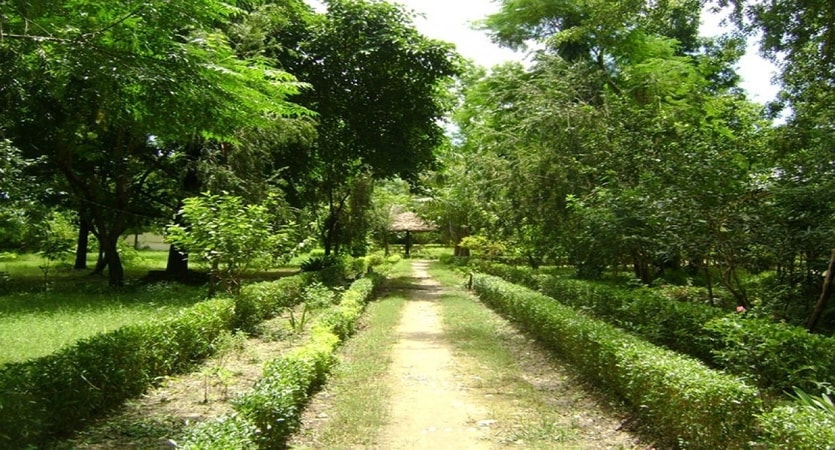 nepal wild life resort entrance