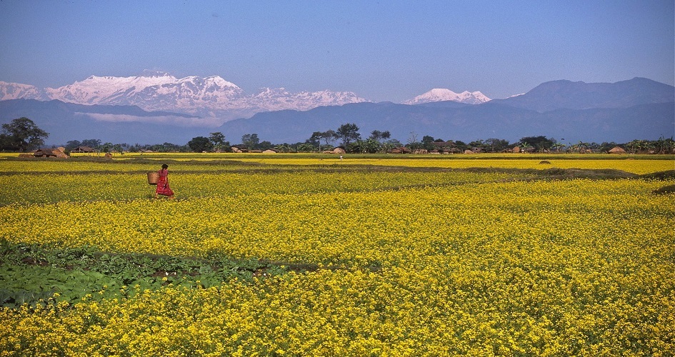 Kailali District - Sudurpaschim Province
