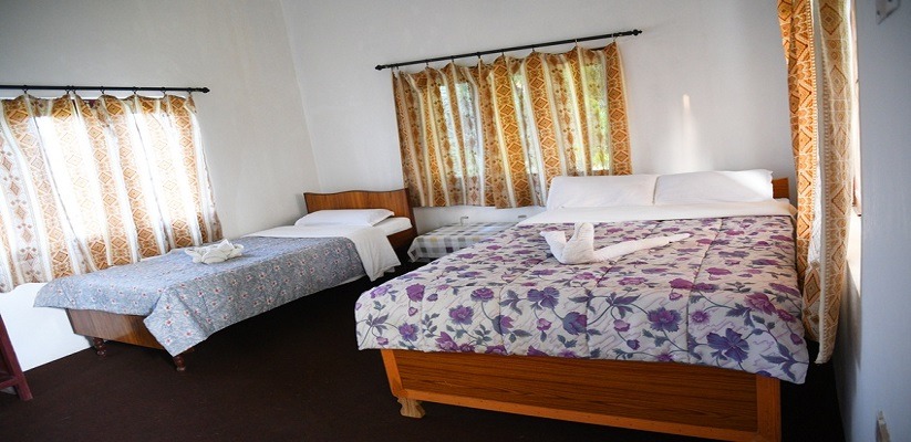 Nepal Wild Life Resort Standard Room
