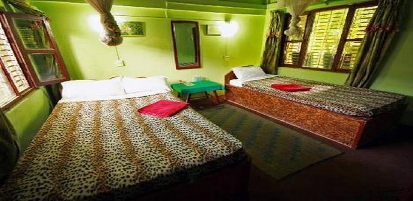 Chitwan Gaida Lodge Cottage Room