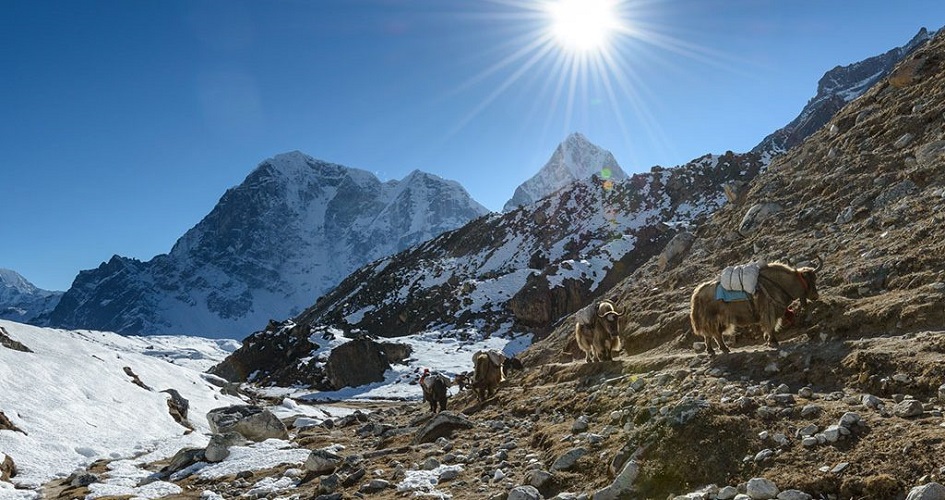 Planning To Trek In Nepal In March? Here's What You Need To Know