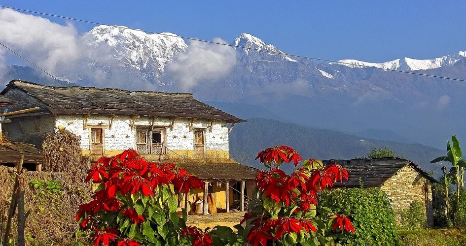 Dhampus Village In Kaski District