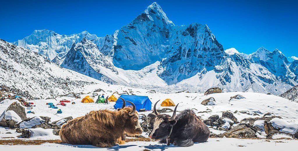 Nepal's Wildlife and National Parks