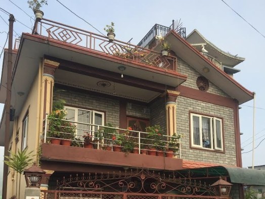 golden bird homestay1