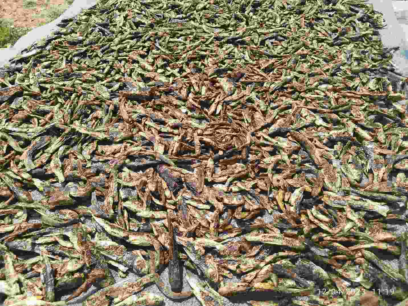 hunikot homestay 6 %281%29