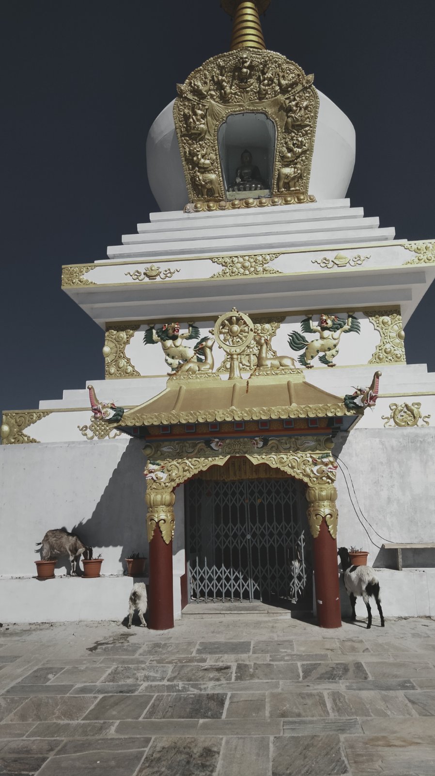 laharemani community homestay2