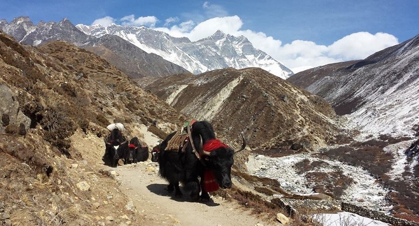 everest base camp trek route1