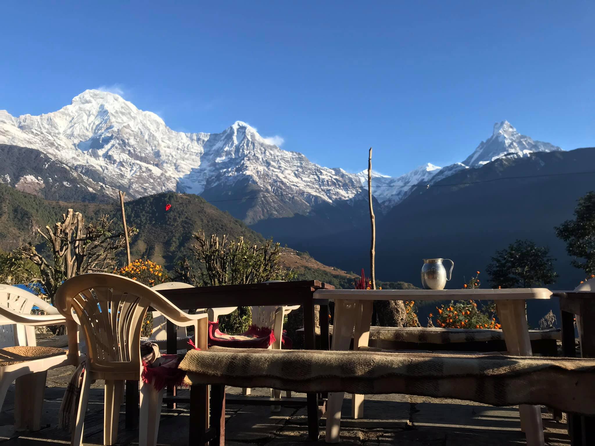 tamu homestay ghandruk1