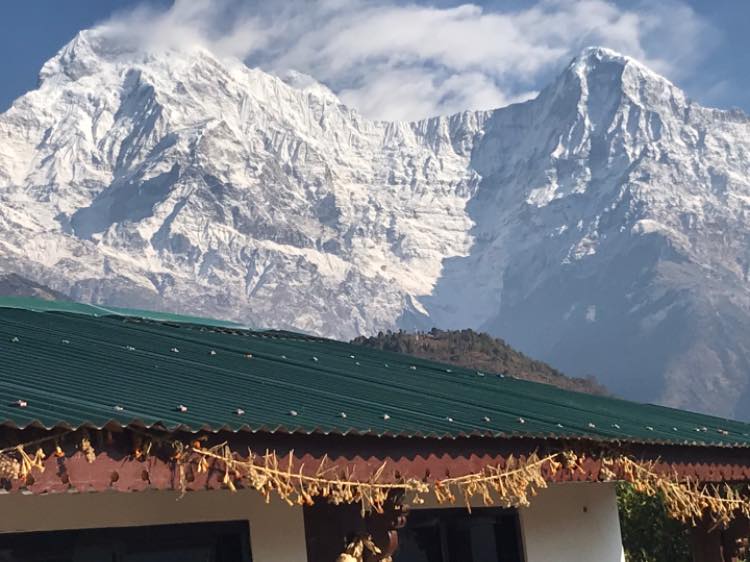 tamu homestay ghandruk