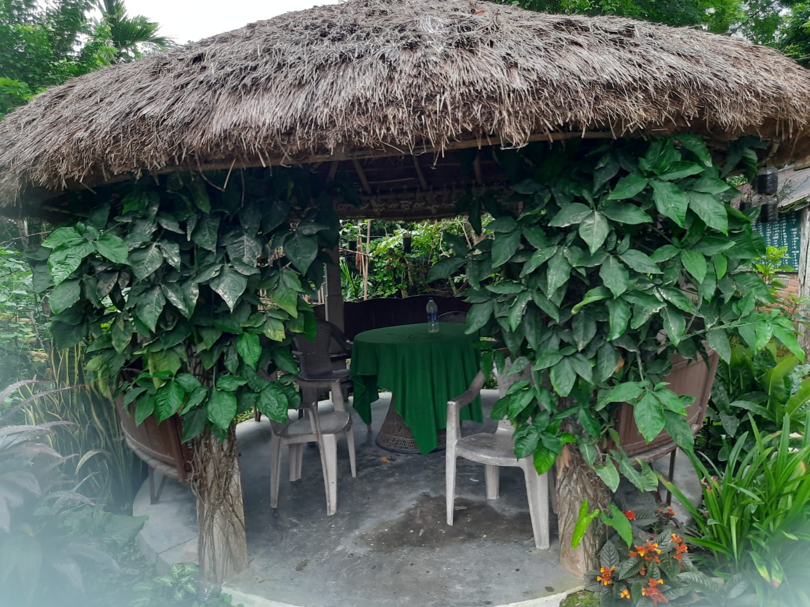 saral homestay%2C chitwan3