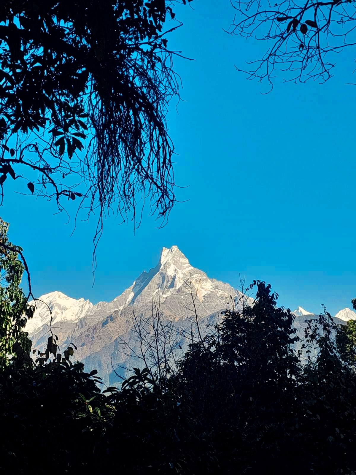 mardi himal7
