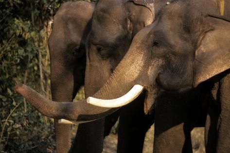 kathmandu%2C pokhara%2C chitwan4