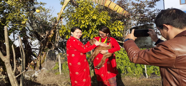 pendel village tamang comm homestay1