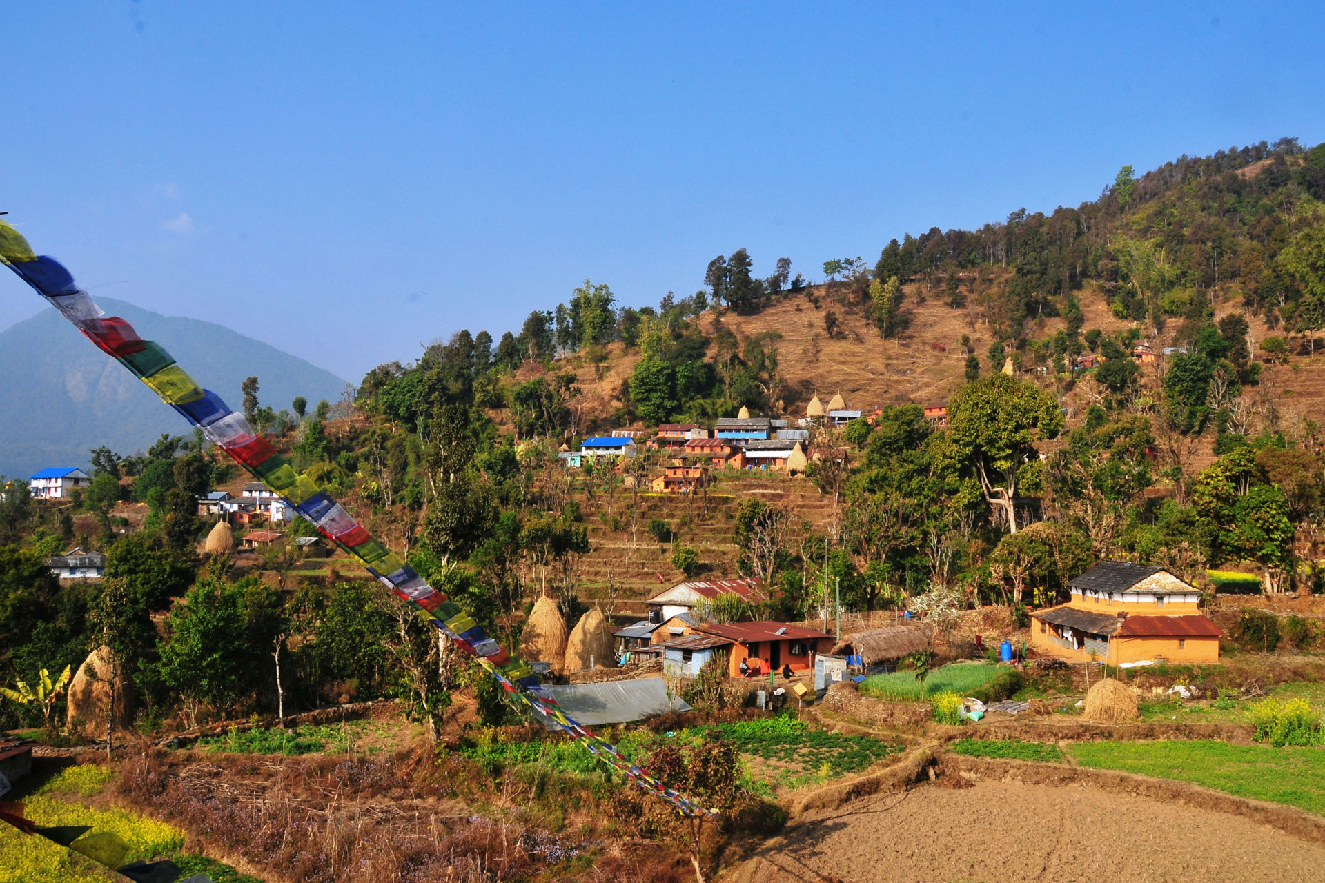 kalabang 1 1668505018