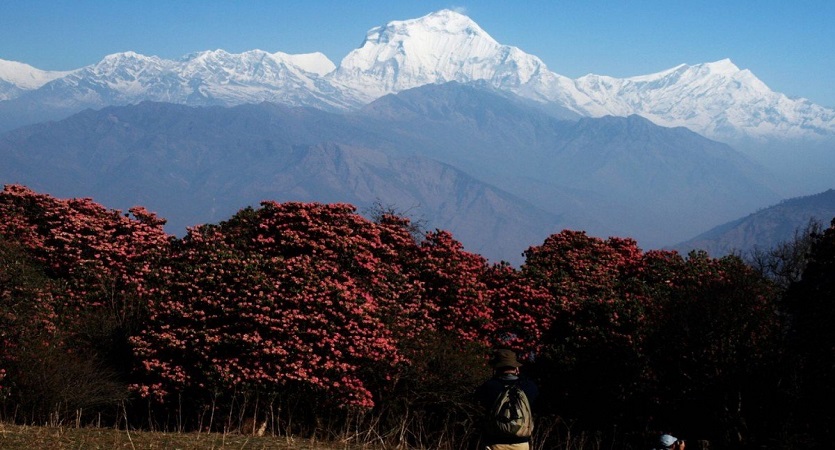 annapurna short trek