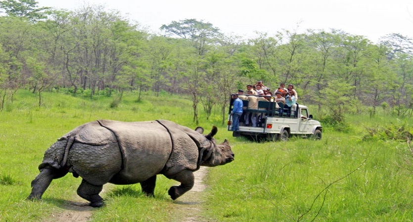 chitwan jungle package