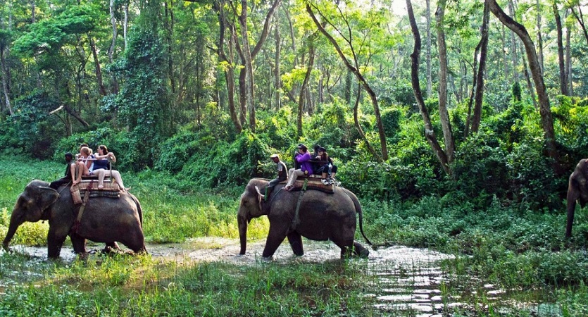 chitwan jungle safari