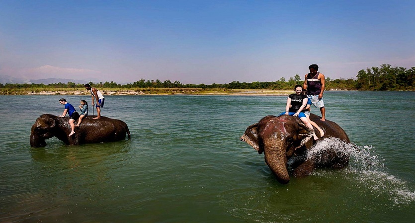 chitwan jungle safari tour
