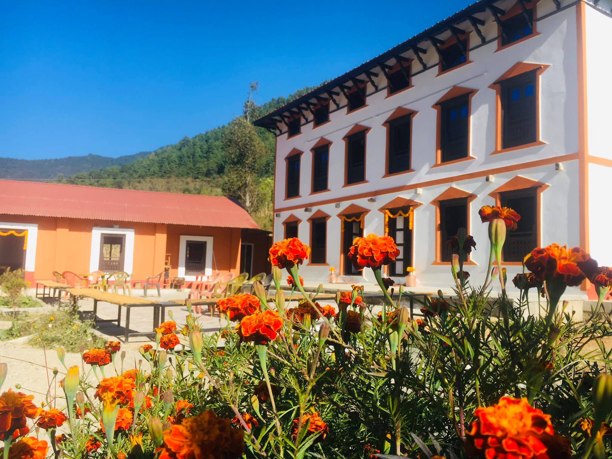 chitlang village resort