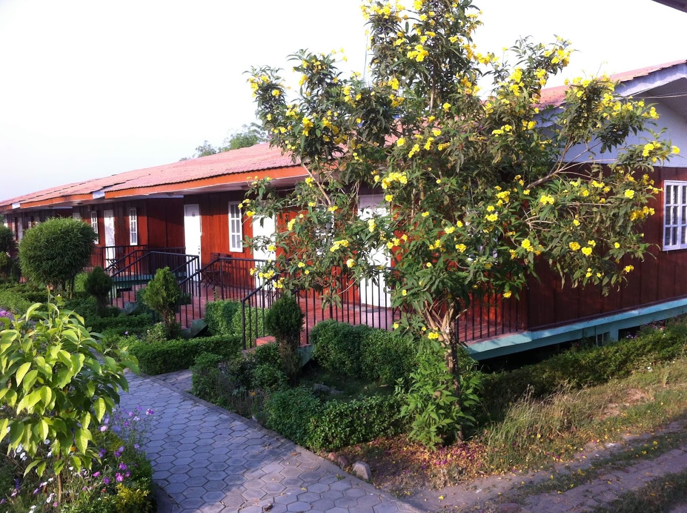 jungle nepal resort3 %282%29