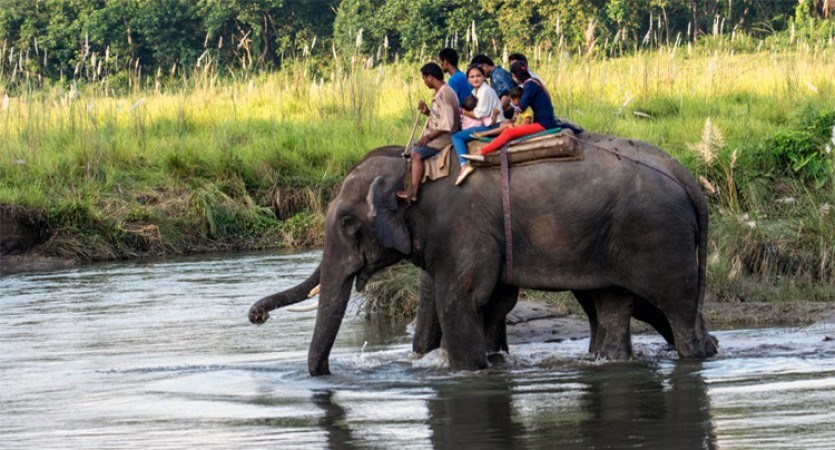chitwan jungle safari1