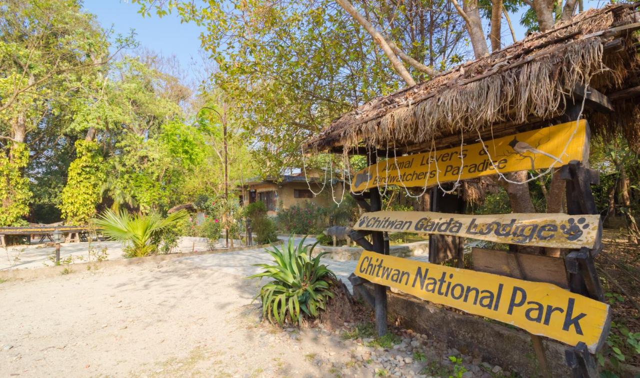 chitwan gaida longe2