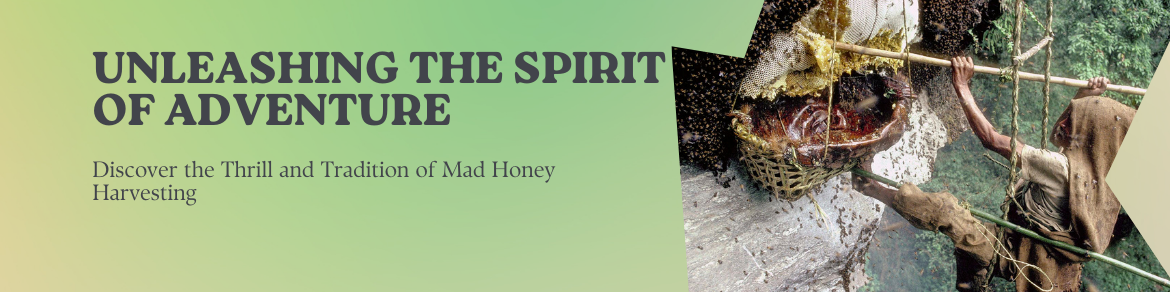 Honey Hunting in Nepal