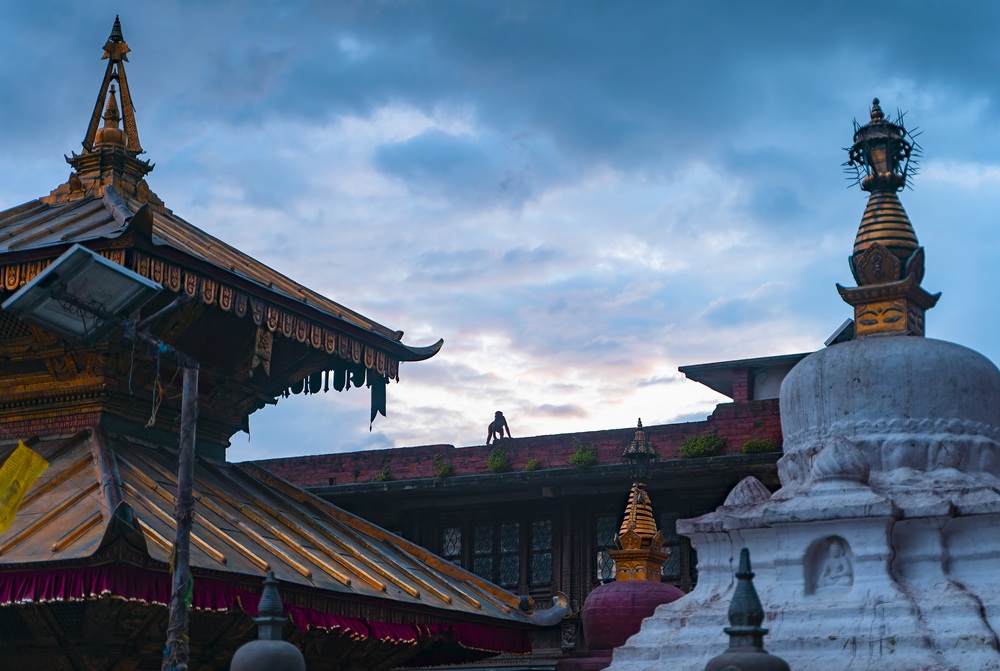 swayambhunath stupa complex with monkey silhouette roof kathmandu nepal