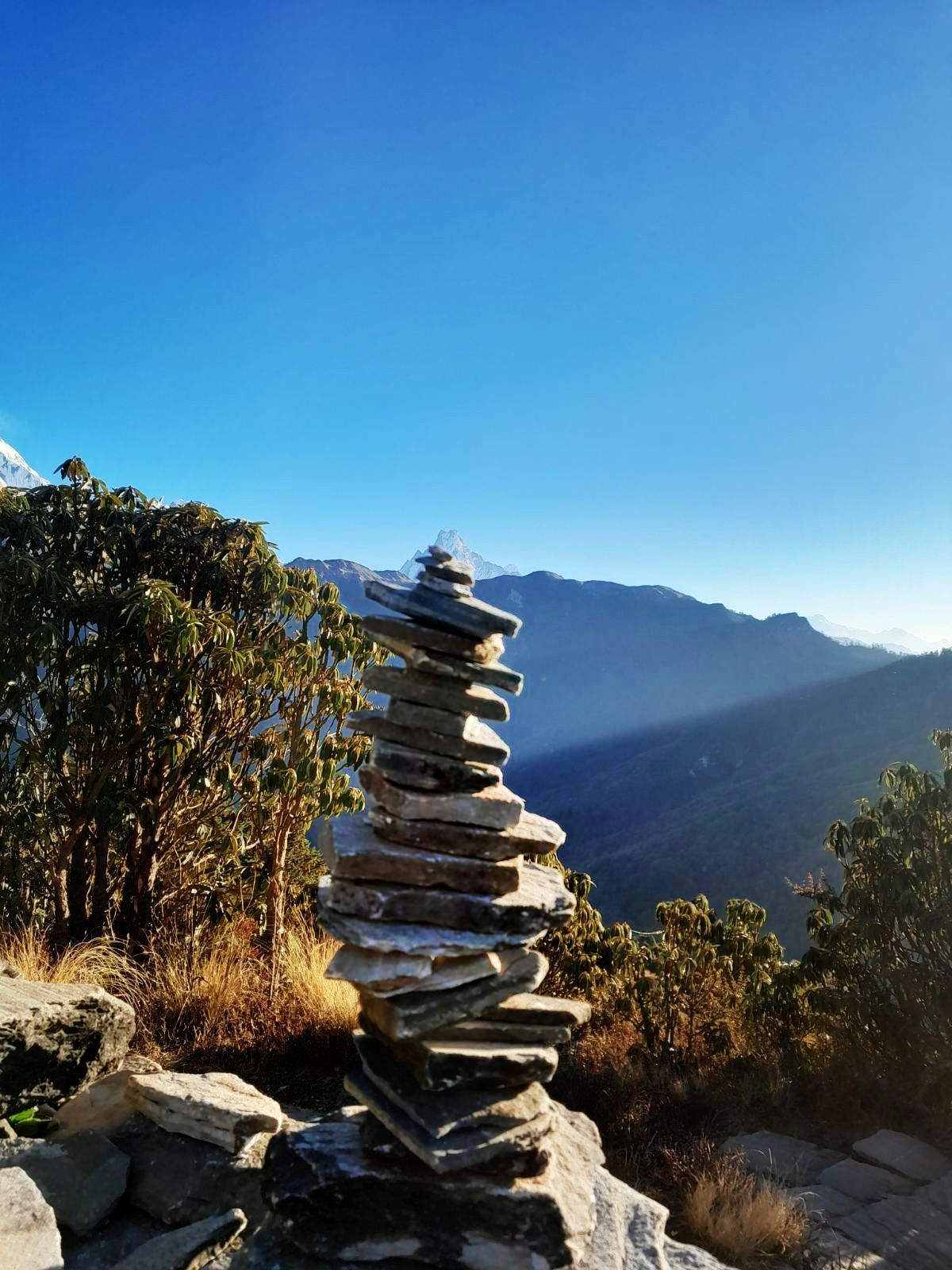 mardi himal trekking