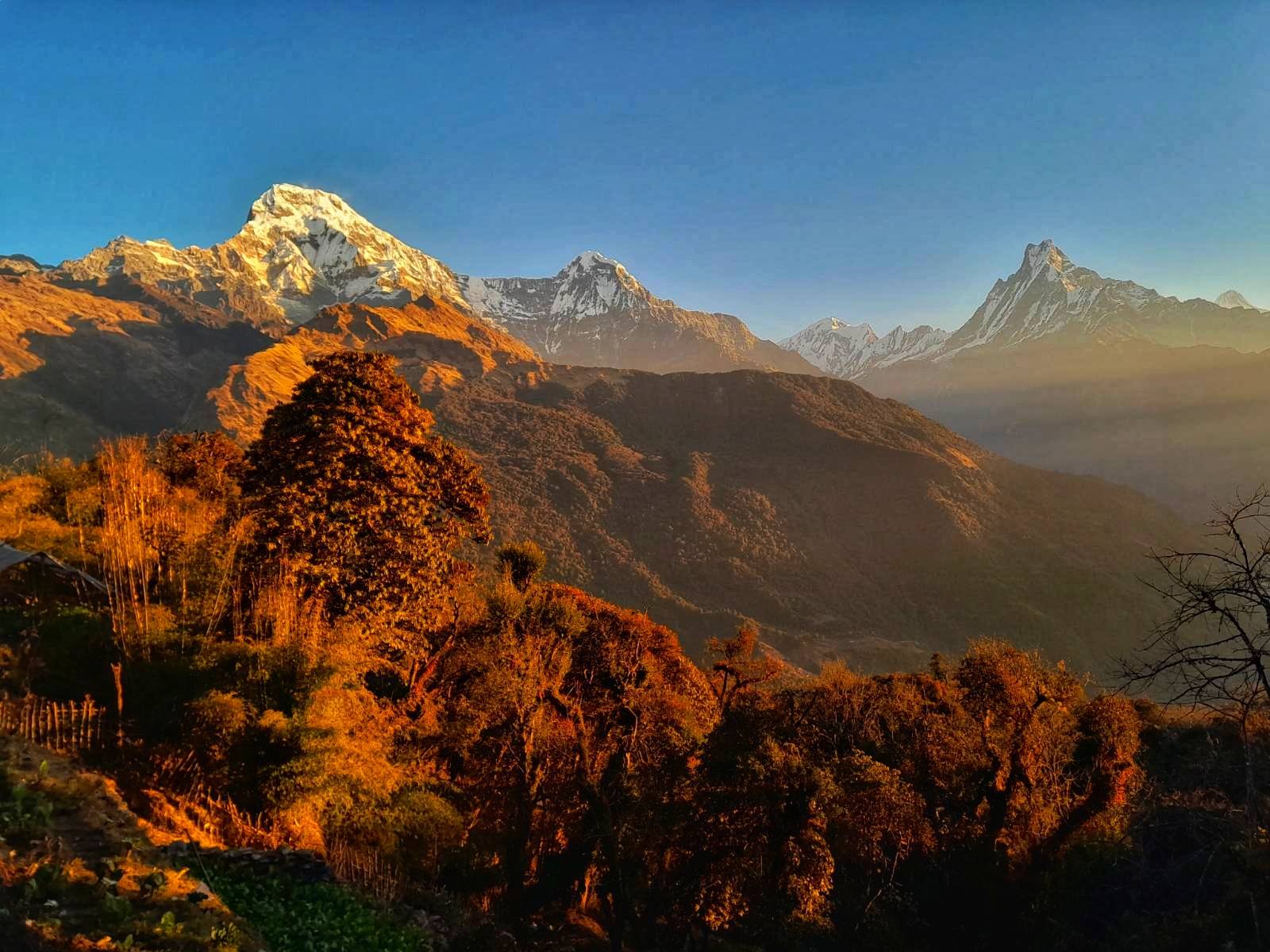 mardi himal trek