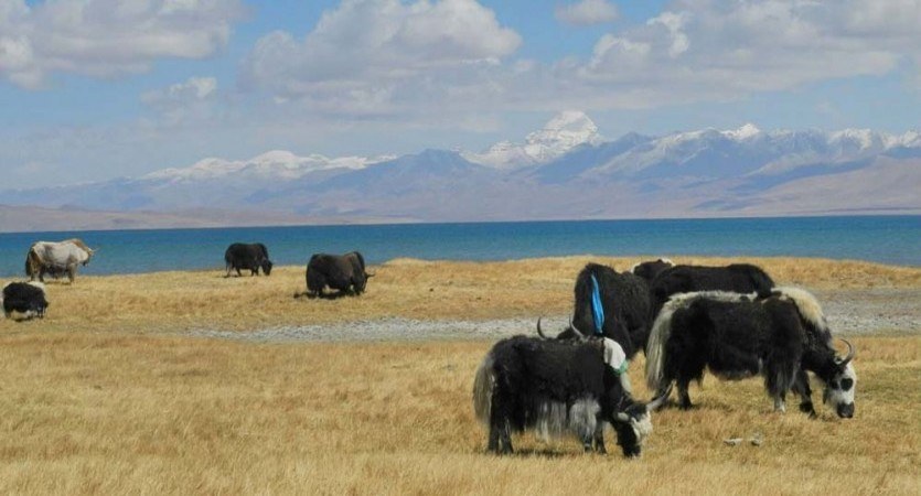 limi valley trekking