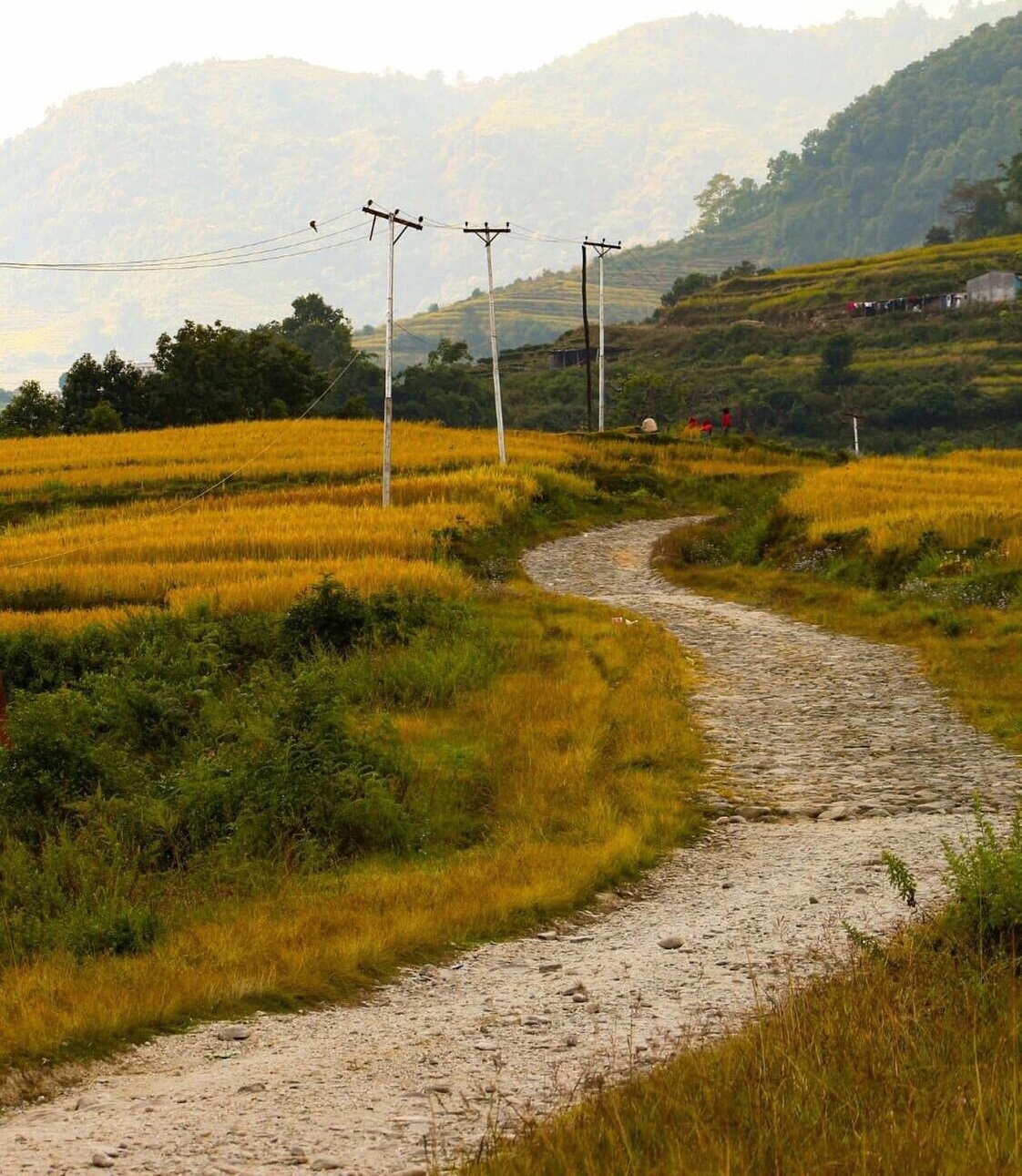 ghalel community homestay