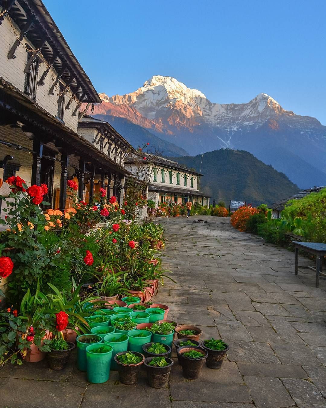 Ghandruk Family Trek