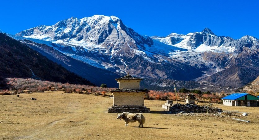manaslu low land